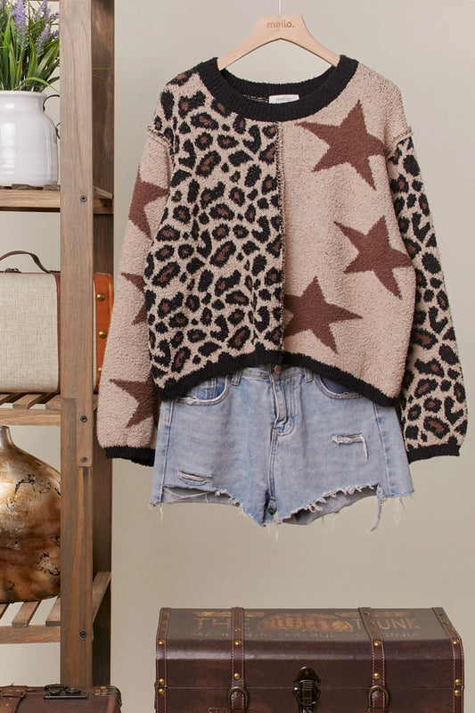 Wild Star Knit Sweater